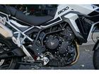 タイガー900GT PRO