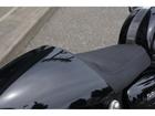 スラクストン1200RS