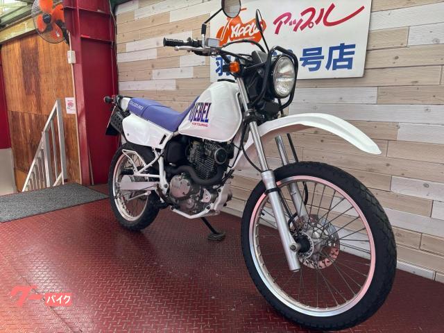 スズキ ジェベル125 ヘッドライトガード キャブレター オフロード