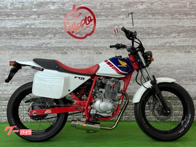 ＦＴＲ２２３　リアライズマフラー　ヘッドライトＬＥＤ