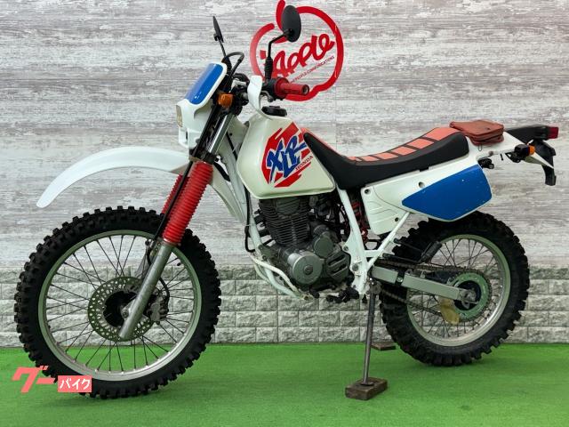ホンダ XLR200R MD29 セル付き|アップル伊勢崎西店|新車 ホンダ XLR200R MD29 セル付き|アップル伊勢崎西店|新車