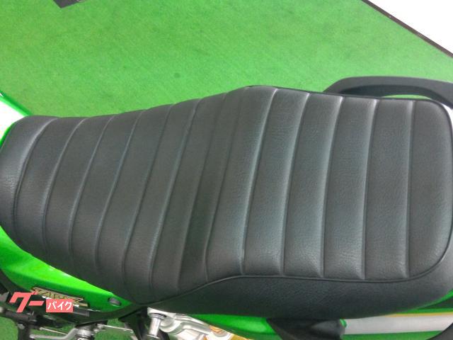 カワサキ ZRX1200 DAEG 2013年モデル Z生誕40周年