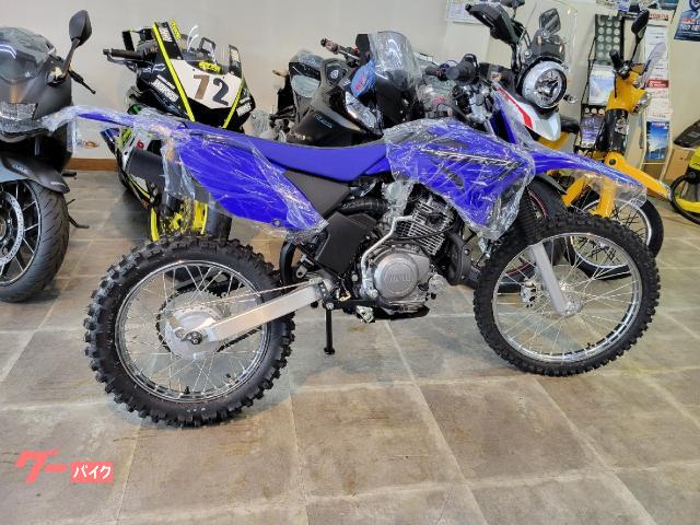 ヤマハ ＴＴ－Ｒ１２５ＬＷＥの画像（北海道