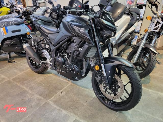 ヤマハ MT-25 ABS 2022年モデル フェンレス変更 倒立 ヤマハ MT-25 ABS 2022年モデル フェンレス変更 倒立