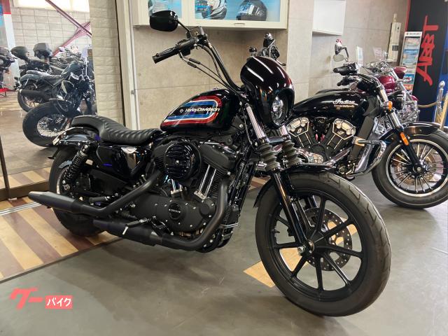 ＸＬ１２００ＮＳアイアン