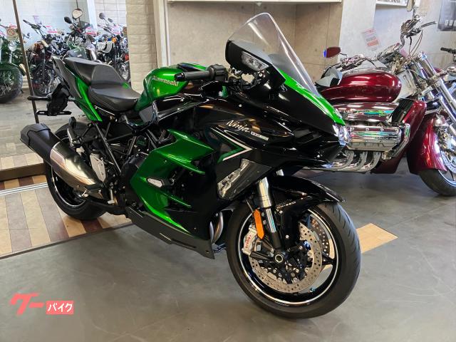 Ｎｉｎｊａ　Ｈ２　ＳＸ　ＳＥ　純正パニアケース