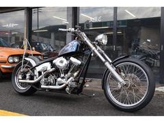 ＨＡＲＬＥＹ−ＤＡＶＩＤＳＯＮ　ＨＡＲＬＥＹ−ＤＡＶＩＤＳＯＮ・他車種　リジットエボリューション　公認車　ロングフォーク