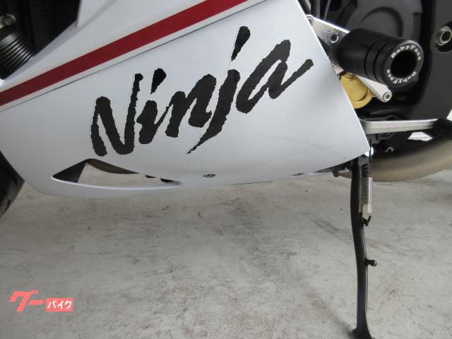 カワサキ Ninja ZX－14R ファイナルエディション｜モーター
