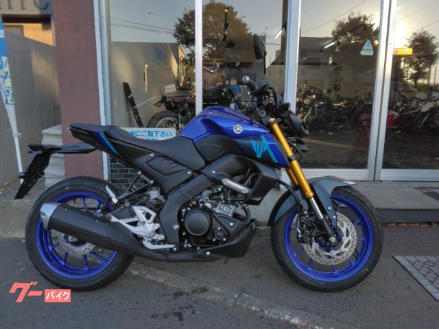 ＭＴ−１２５