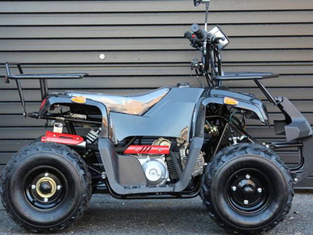 バギー 四輪バギー ｉｃｅｂｅａｒ ｓｂ５０ｂ 北海道 トライクｉｃｅｂｅａｒ 北海道 オートショップアリス b の中古バイク 新車バイク Goo バイク情報