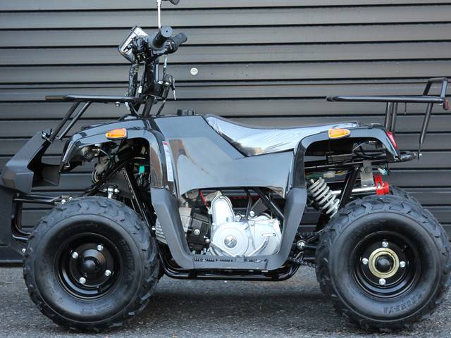 バギー 四輪バギー ｉｃｅｂｅａｒ ｓｂ５０ｂ 北海道 トライクｉｃｅｂｅａｒ 北海道 オートショップアリス b の中古バイク 新車バイク Goo バイク情報