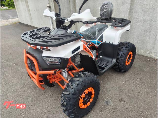 ✨ ハギー✨ 車両情報:バギー バギー | トライクICEBEAR 北海道 オート