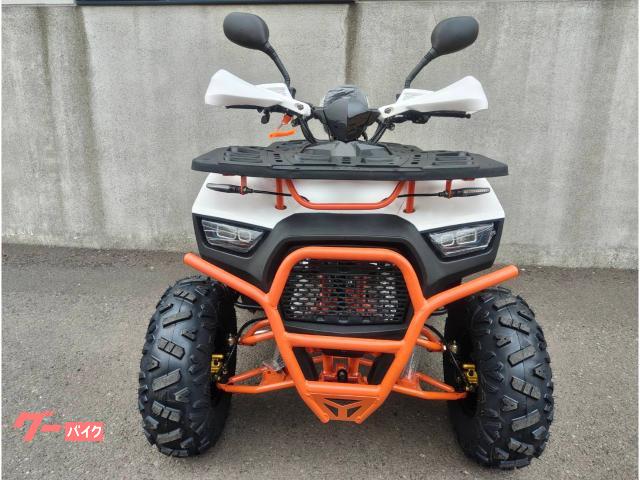 ✨ ハギー✨ RED ZONE ATV バギー RZ－G4RR GT50 新車・KIT車体 - メルカリ