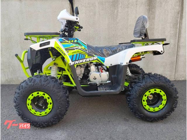 バギー 公道走行可 50cc 四輪バギー ATV－MAX SL50W