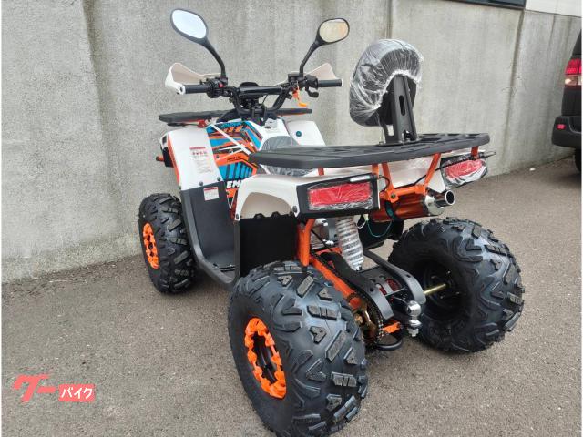 車両情報:バギー バギー | トライクICEBEAR 北海道 オートショップ