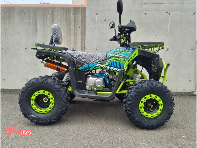 バギー　ATV Kawasaki BRUTE FORCE 300 | スポーツユーティリティATV | スポーティ