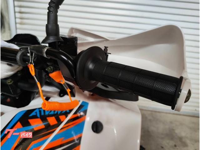 バギー 四輪バギー 50CC ATV－MAX・SL50W－BG