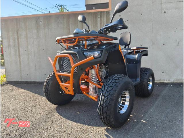 車両情報:バギー バギー | トライクICEBEAR 北海道 オートショップ
