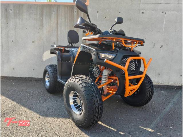 車両情報:バギー バギー | トライクICEBEAR 北海道 オートショップ