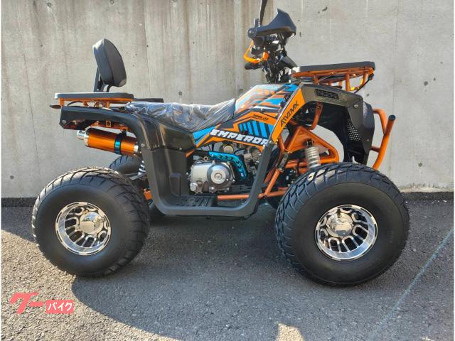 車両情報:バギー バギー | トライクICEBEAR 北海道 オートショップ