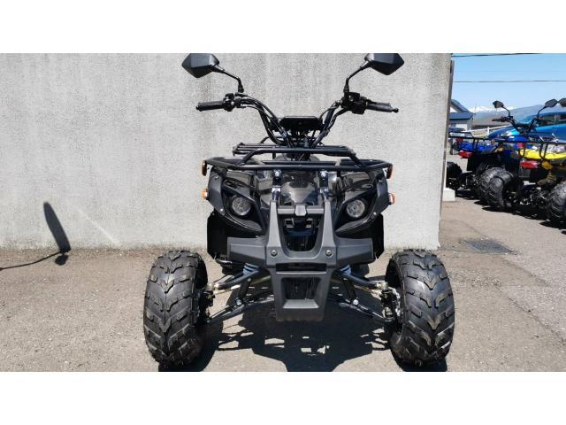 バイク屋さんで整備されたICE BEAR 製バギー