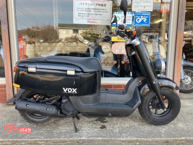 ＶＯＸ　ＳＡ３１Ｊ　ブラック　インジェクション