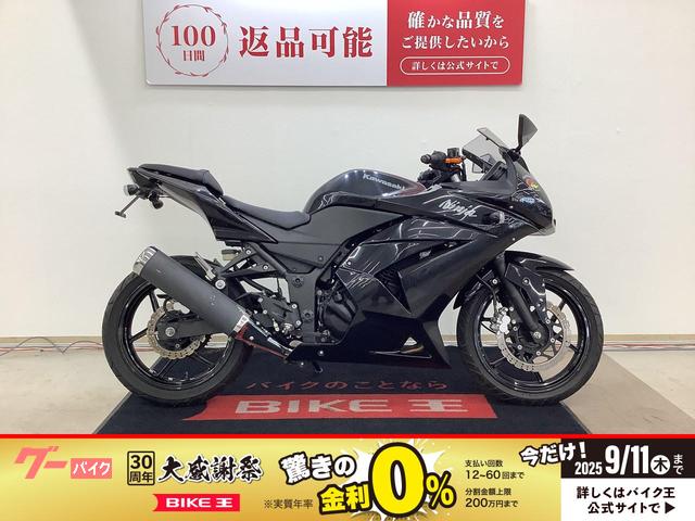 Ｎｉｎｊａ　２５０Ｒ　２０１２年モデル　フェンダーレス　レバーカスタム！！