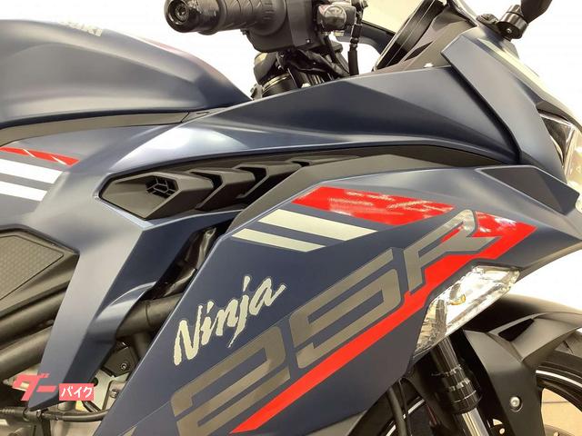 カワサキ Ninja ZX－25R 2022年モデル フル