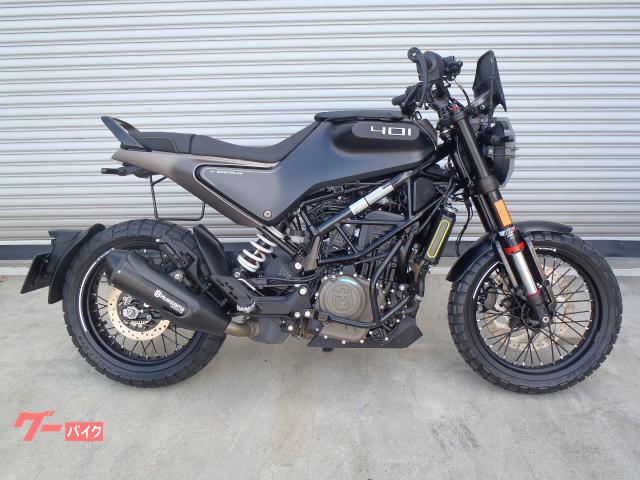 スヴァルトピレン４０１