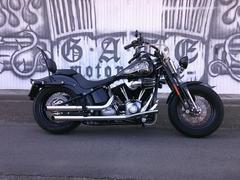 ＨＡＲＬＥＹ−ＤＡＶＩＤＳＯＮ　ＦＬＳＴＳＢ　クロスボーンズ