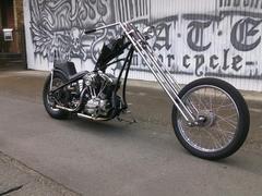 ＨＡＲＬＥＹ−ＤＡＶＩＤＳＯＮ　ＦＬ　４９パンショベル