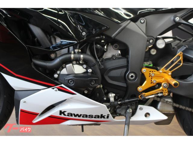 カワサキ Ninja ZX－6R スライダー フェンダレス バック