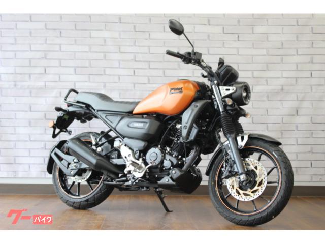 ＦＺ−Ｘ　日本未発売モデル　ノーマル車