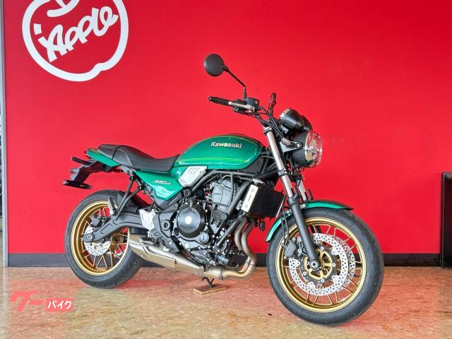 Ｚ６５０ＲＳ
