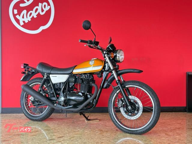 ２５０ＴＲノーマル　インジェクション