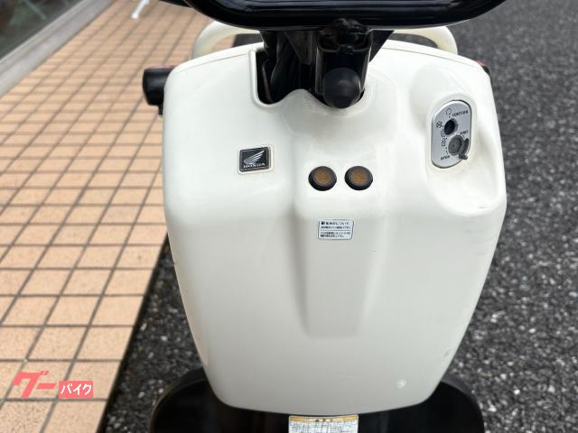 ホンダ ズーマー AF58 キャブ車 シャスタホワイト｜アップル館林店 