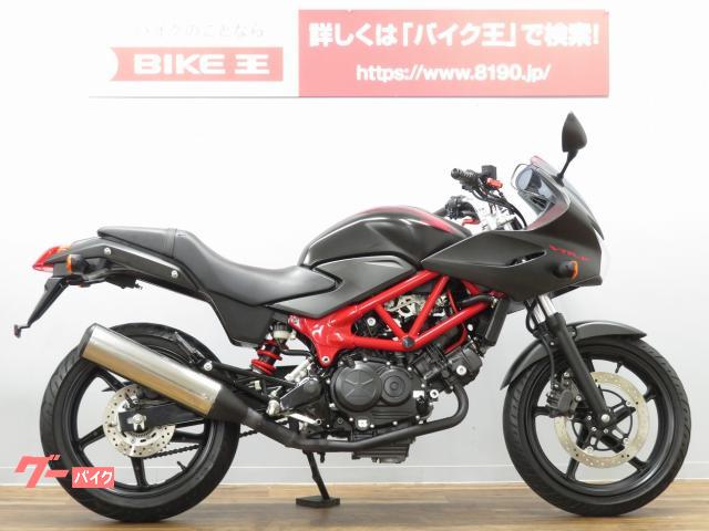 芸能人愛用 VTR250 サイドバック インジェクション対応 サイドバック