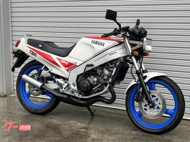 TZR125です31馬力♪♪ - その他