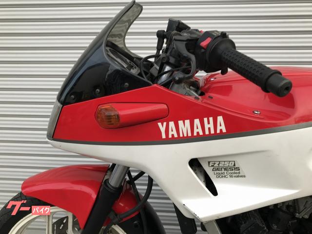 ヤマハ ＦＺ２５０フェーザー 後期型 １３８ｋｇ バッテリータイヤ新品 キャブレターオーバーホール｜Ｂｉｋｅ Ｓｈｏｐ Ｒｏｍａ－ＭＣ  新琴似店｜新車・中古バイクなら【グーバイク】