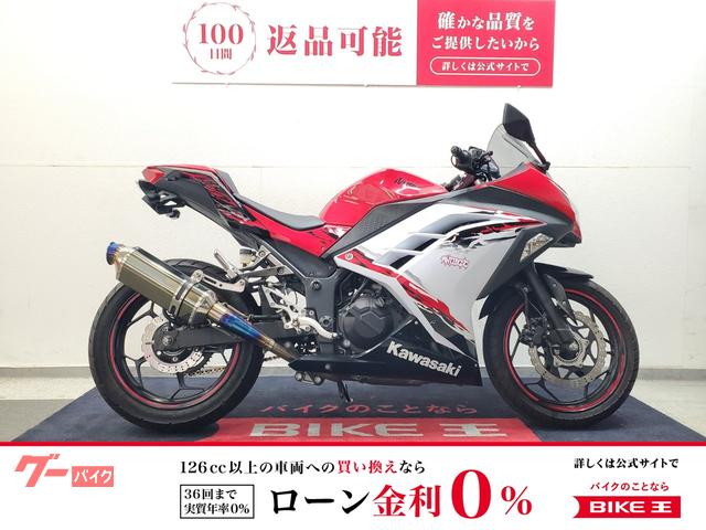 Ｎｉｎｊａ　２５０　２０１３年モデル　ＢＥＥＴナサートマフラー　ステップ　グリップヒーター　リヤフェンダーレス仕様