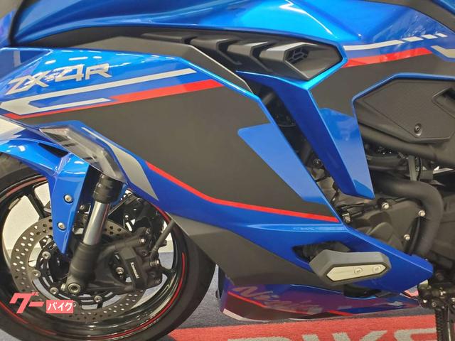 パウル・クレー、【征服者】、希少な額装用画集より、状態良好、新品額装付 カワサキ ニンジャZX－4R SE 2024年モデル ワンオーナー