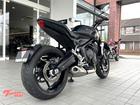 トライデント660 登録済未使用 クイックシフター トライアンフ水戸オリジナルカラー コンペティショングリーン クラシックロゴ