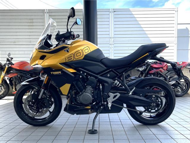 タイガースポーツ800 コスミックイエロー／サファイアブラック アクラボビッチサイレンサー クイックシフター クルーズコントロール