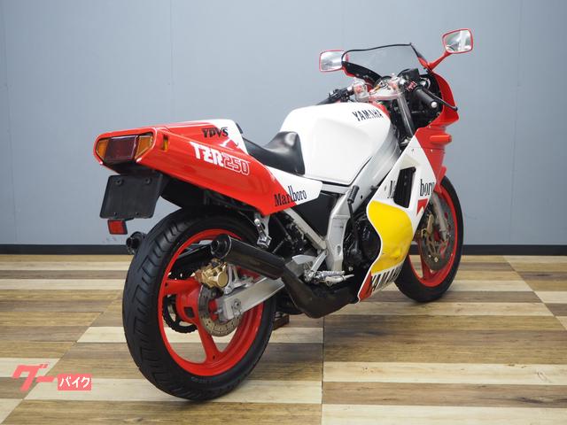 ヤマハ ＴＺＲ２５０ １ＫＴ マルボロ特別仕様車(茨城県 バイク王 つくば絶版車館)の中古バイク・新車バイク | goo - バイク情報