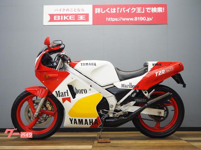 ヤマハ ＴＺＲ２５０ １ＫＴ マルボロ特別仕様車(茨城県 バイク王 つくば絶版車館)の中古バイク・新車バイク | goo - バイク情報