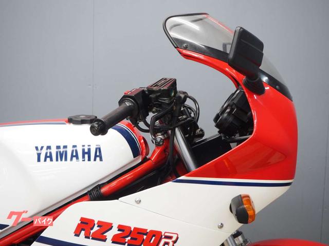 YAMAHA RZ250R アンダーカウル RZ250Rのアンダーカウル⑥ : バイクに乗って釣りに行こう