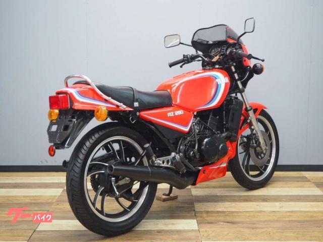 ヤマハ ＲＺ２５０ ＹＳＰ限定カラー ビキニカウル付き シリンダー