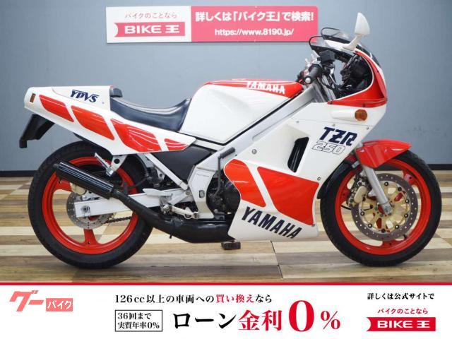 ＴＺＲ２５０　１ＫＴ　純正シングルシートカウル装備