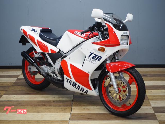ヤマハ TZR250 1KT 純正シングルシートカウル装備｜バイク王