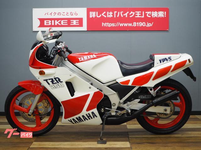 ヤマハ TZR250 1KT 純正シングルシートカウル装備｜バイク王